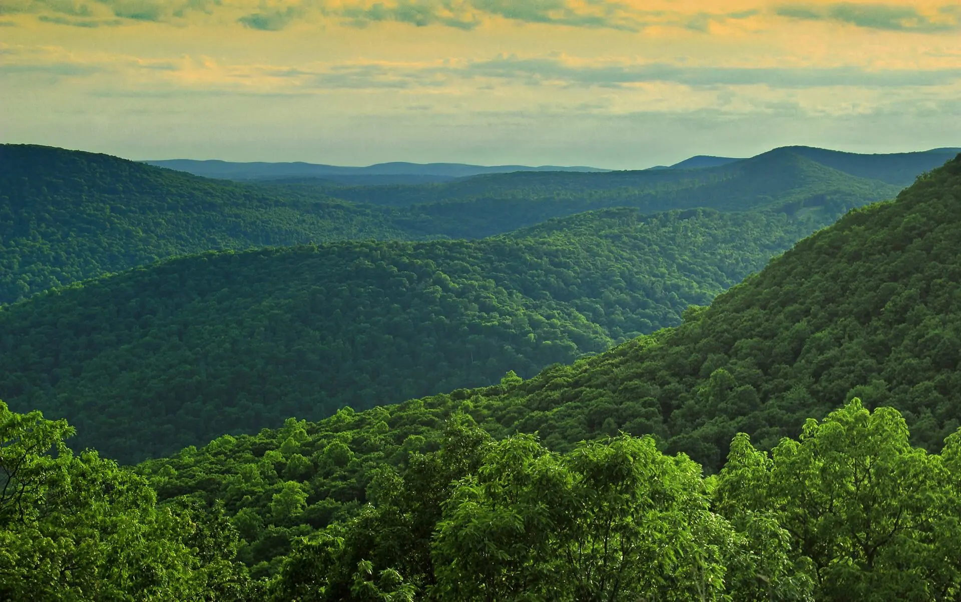 Gifts for the Nature Lover in Your Life
